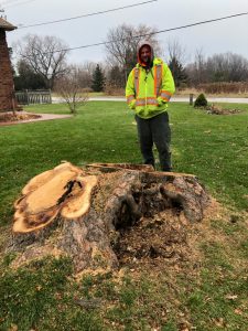 Darlington Tree Service photo 4